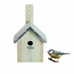 Nistkasten Für Blaumeisen