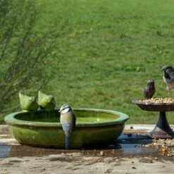 Vogeltränke Rund M, Grün, Keramik