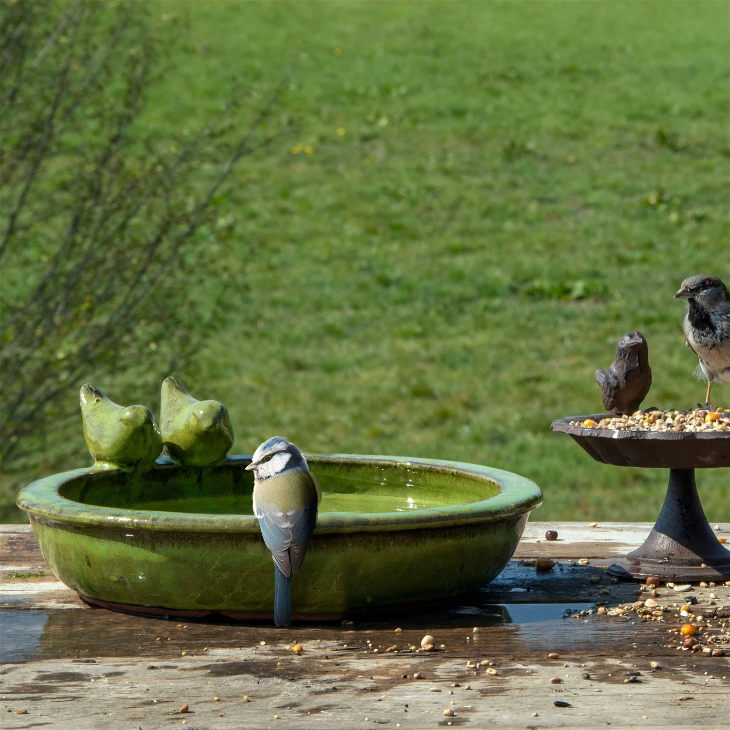 Vogeltränke Rund M, Grün, Keramik