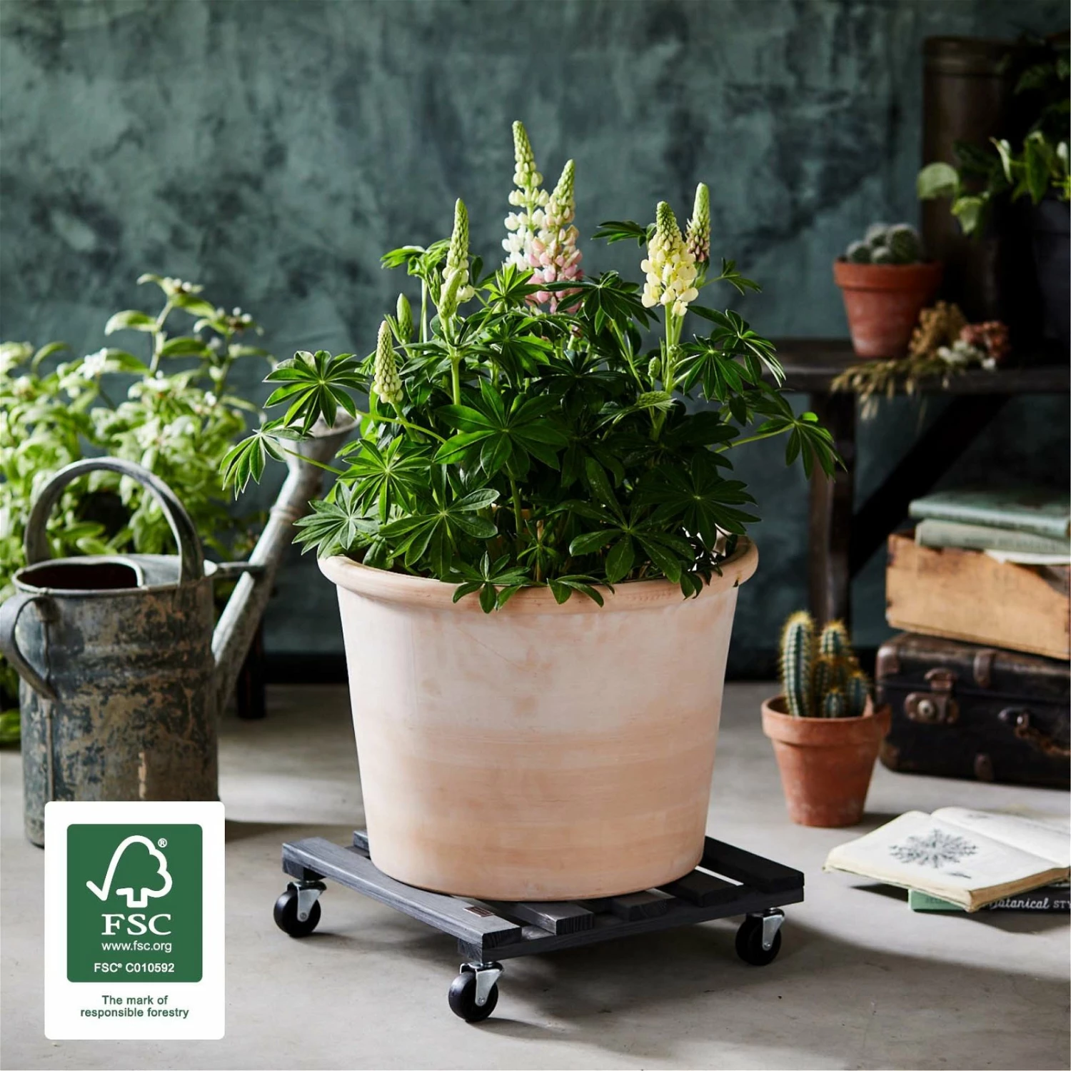 Multi Roller, Tragkraft 120 Kg, Anthrazit, Ca. 10 X 38 X 38 Cm – Bild 2