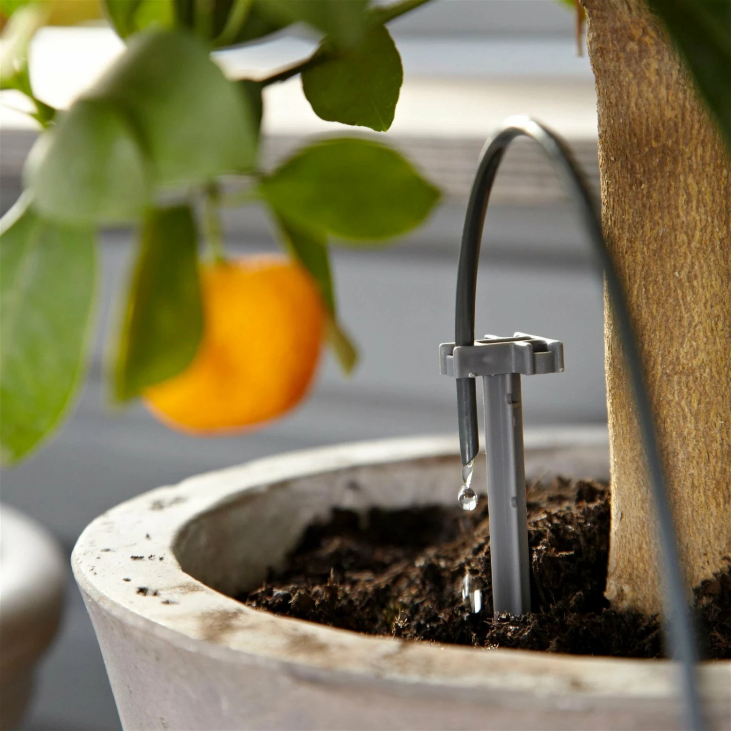 Gardena Urlaubsbewässerung City-Gardening, Bis Zu 36 Töpfe, Transformator, Zeitschaltuhr – Bild 5