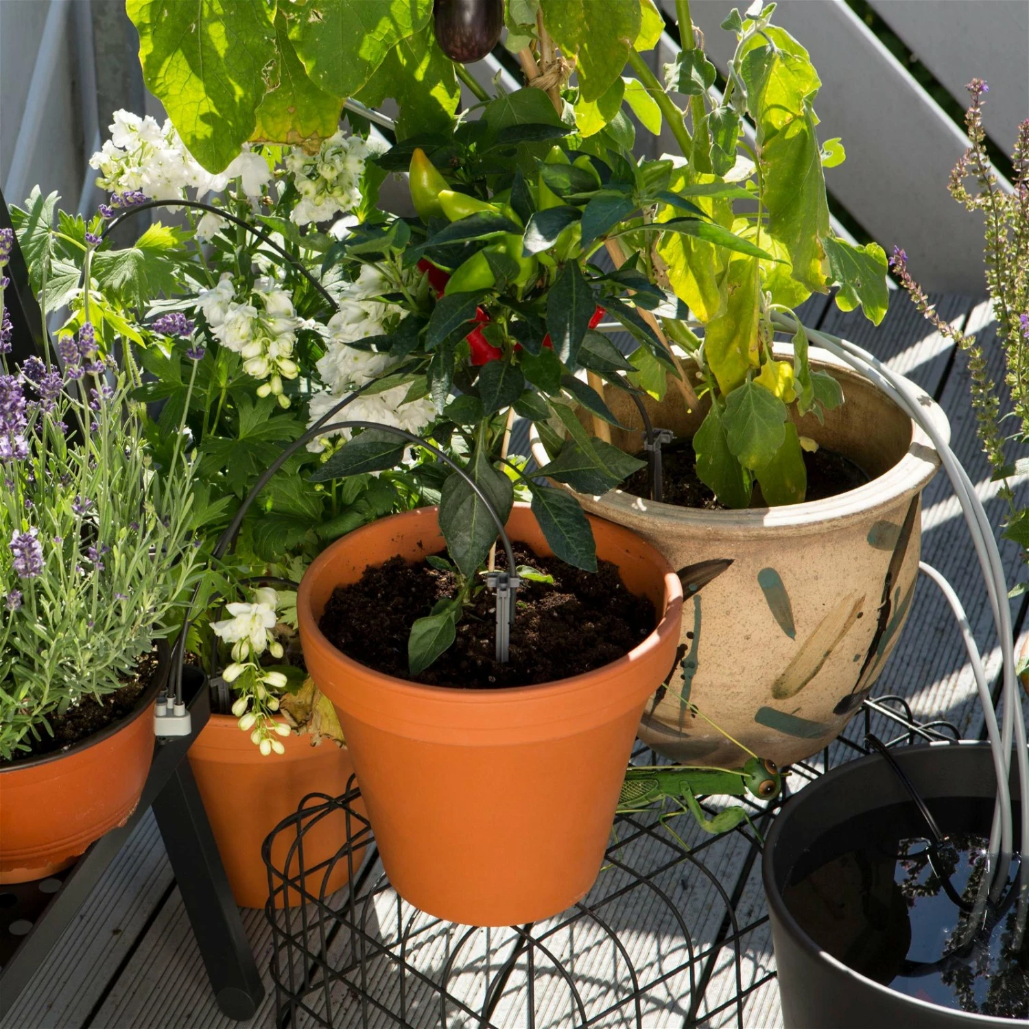 Gardena Urlaubsbewässerung City-Gardening, Bis Zu 36 Töpfe, Transformator, Zeitschaltuhr – Bild 6