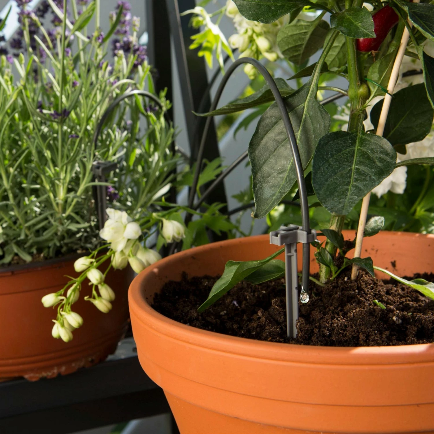 Gardena Urlaubsbewässerung City-Gardening, Bis Zu 36 Töpfe, Transformator, Zeitschaltuhr – Bild 7