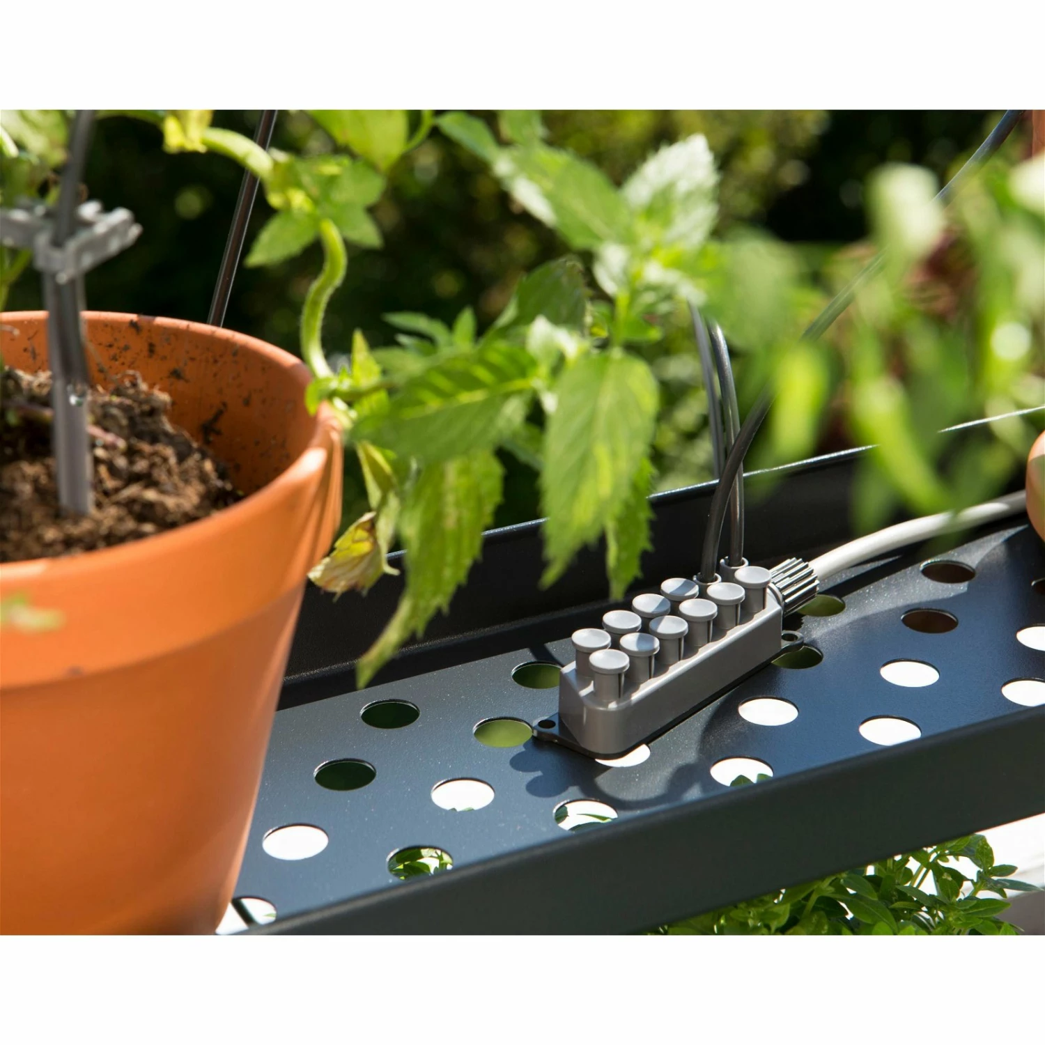 Gardena Urlaubsbewässerung City-Gardening, Bis Zu 36 Töpfe, Transformator, Zeitschaltuhr – Bild 8