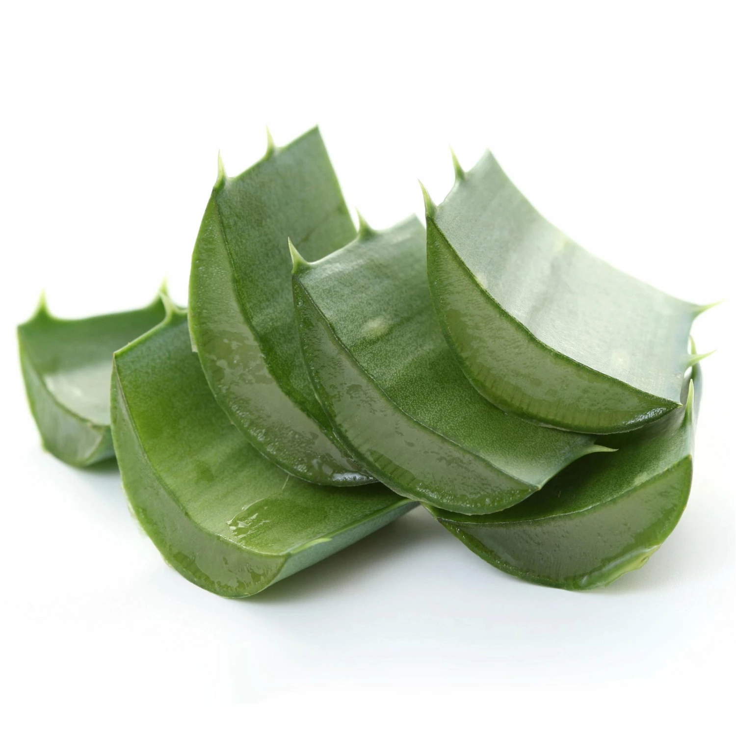 Bio Aloe 'Sweet', Topf-Ø 12 Cm, 2er-Set – Bild 5