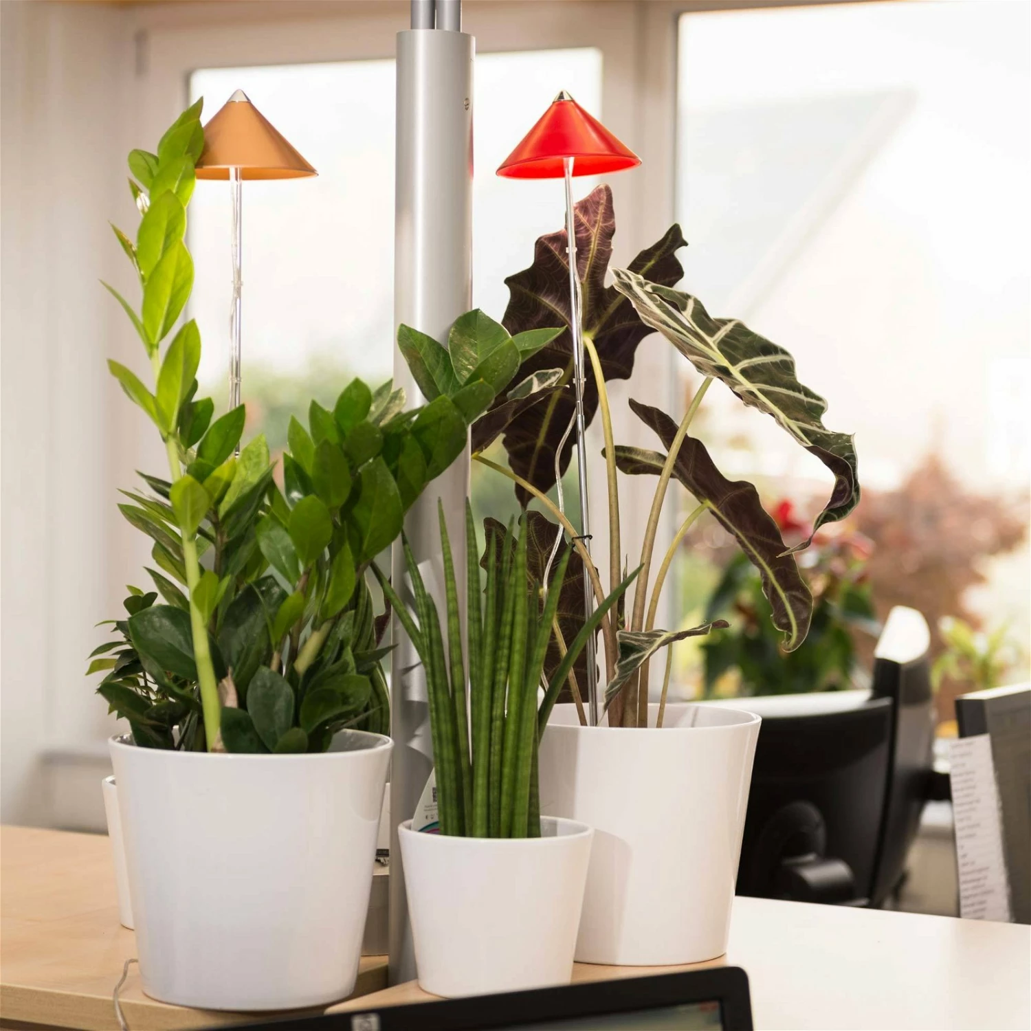 Sunlite Pflanzenlampe Kupfer, 7 Watt – Bild 5