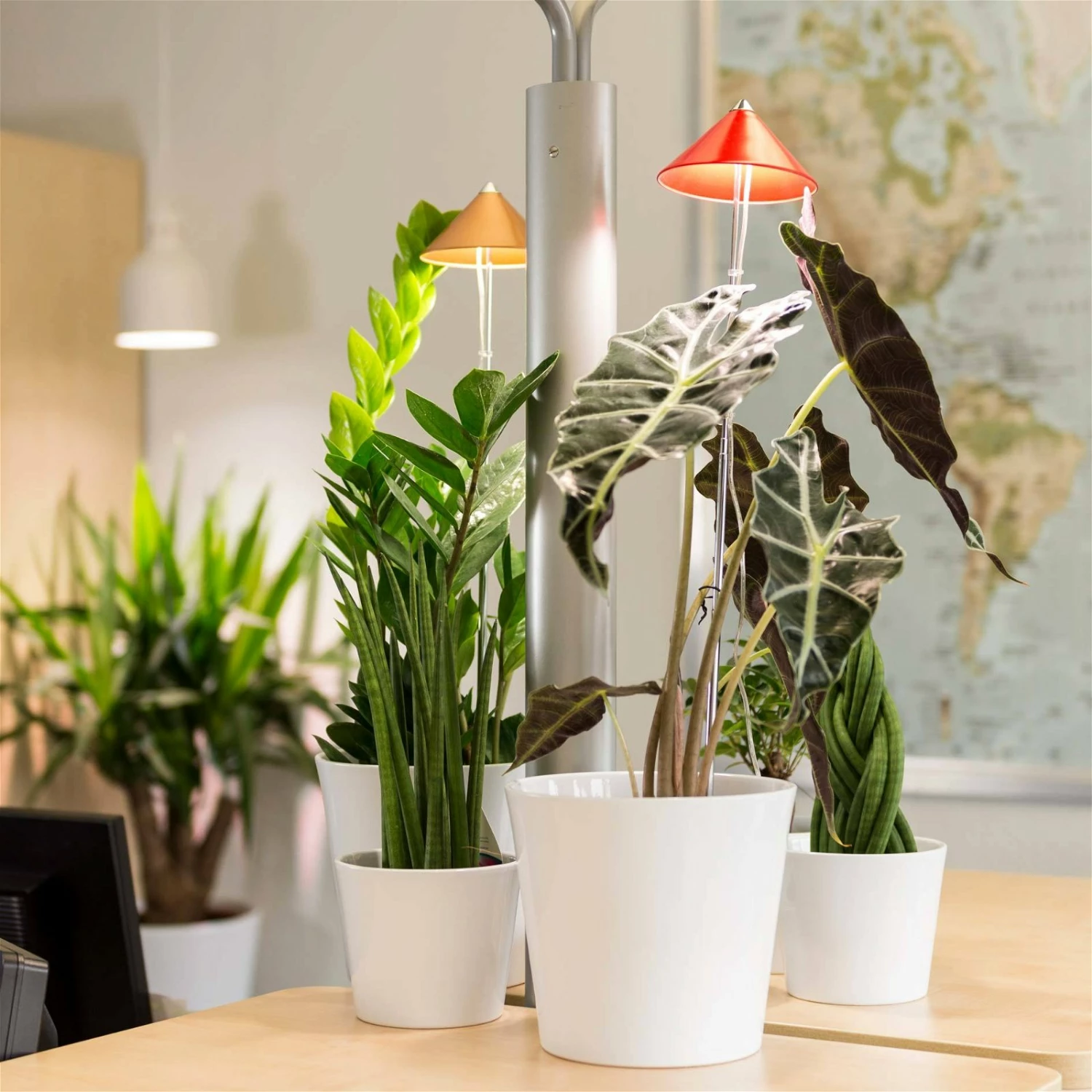 Sunlite Pflanzenlampe Kupfer, 7 Watt – Bild 4