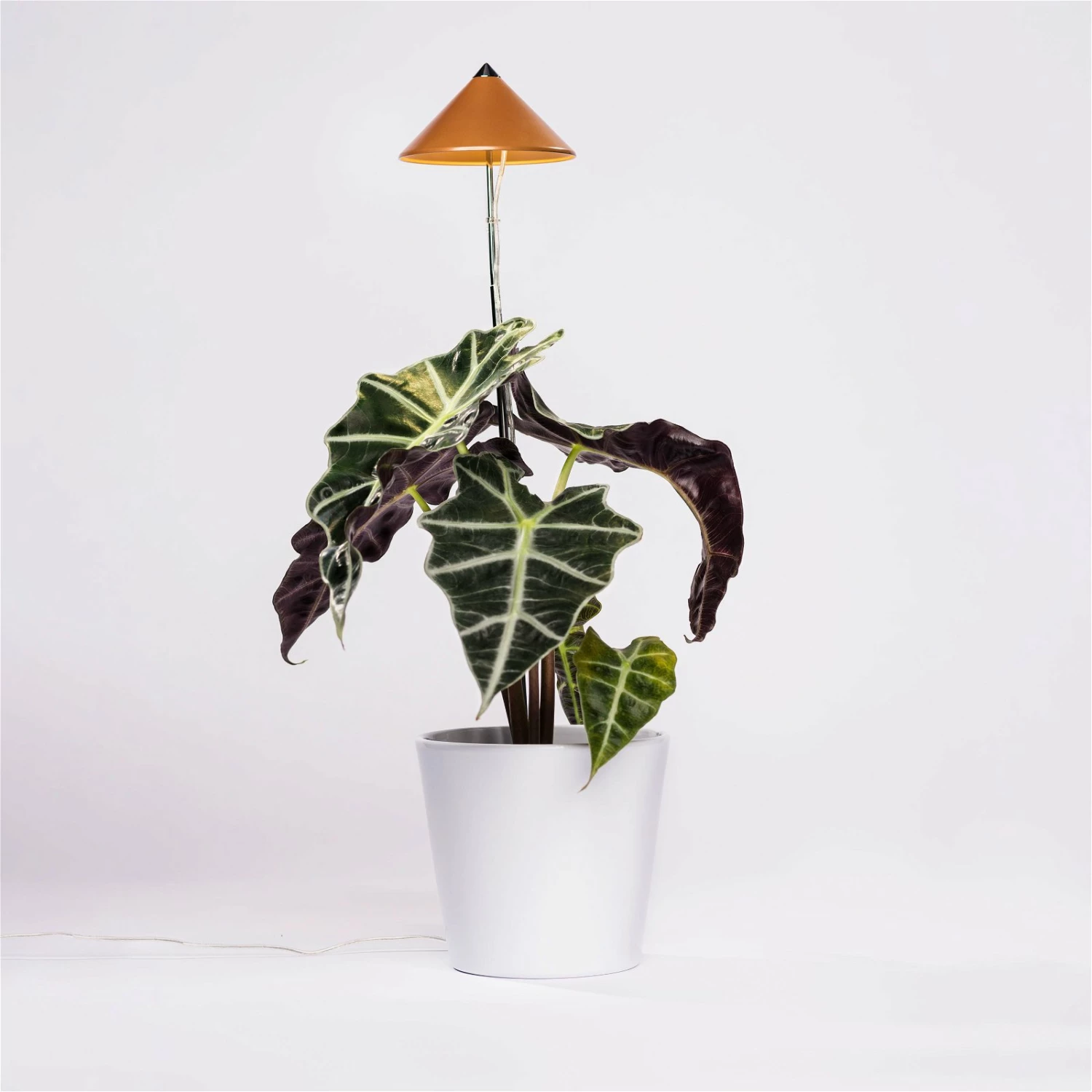 Sunlite Pflanzenlampe Kupfer, 7 Watt – Bild 2