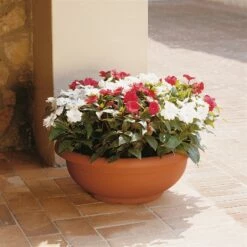 Euro 3 Plast Pflanzschale Olimpo Terra