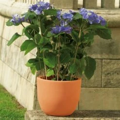 Pflanzkübel Etria Terra, Ø 24 X H 20 Cm