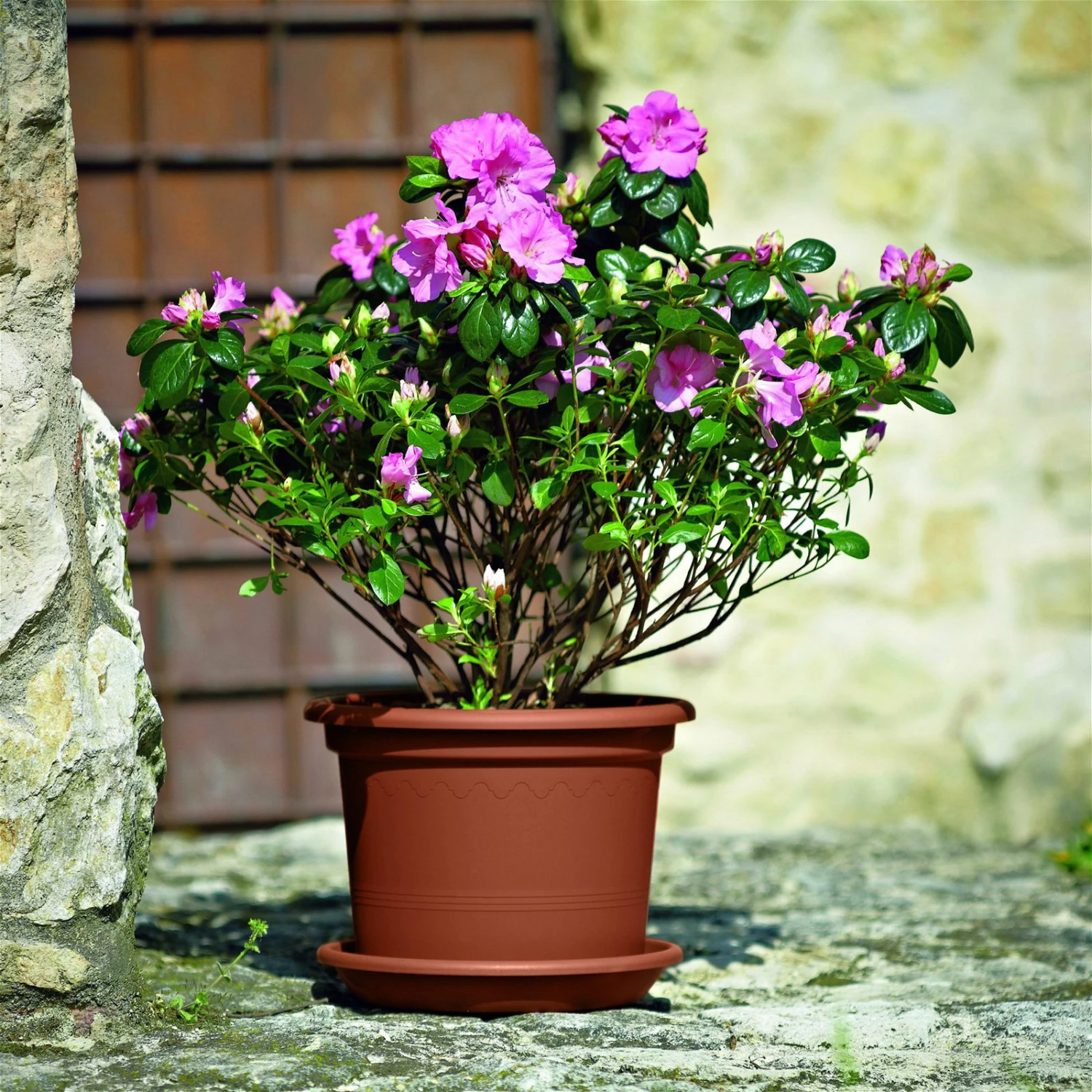 Euro 3 Plast Pflanzkübel Geo Terra