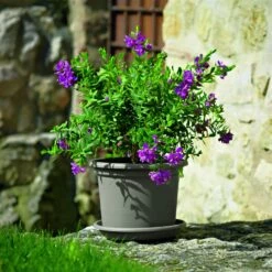Euro 3 Plast Pflanzkübel Geo Taupe