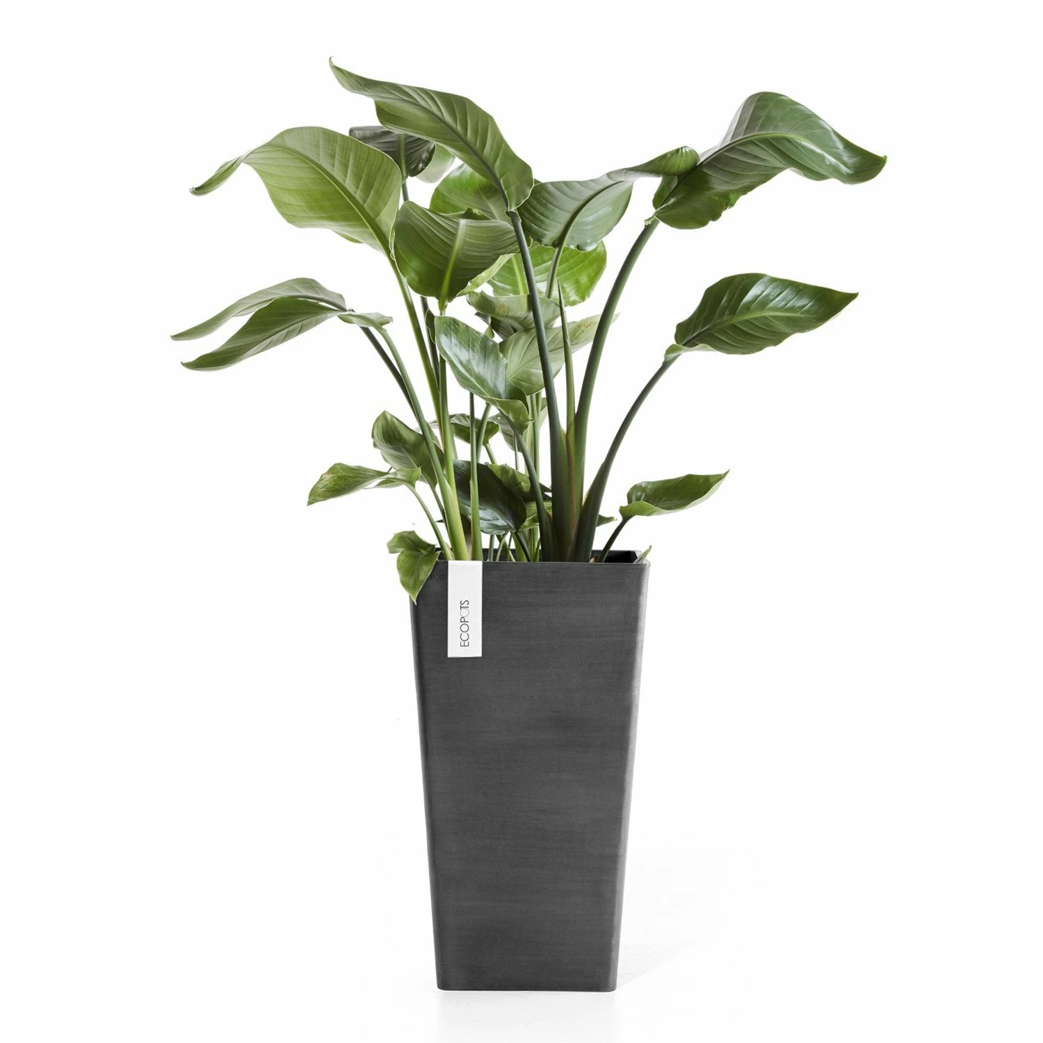 Pflanzgefäß 'Rotterdam MidHigh', Dunkelgrau, Ø 31 X H 56 Cm – Bild 2