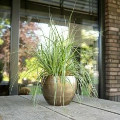 Pflanzgefäß 'Rowen', Gold, Ø 19 X H 13 Cm