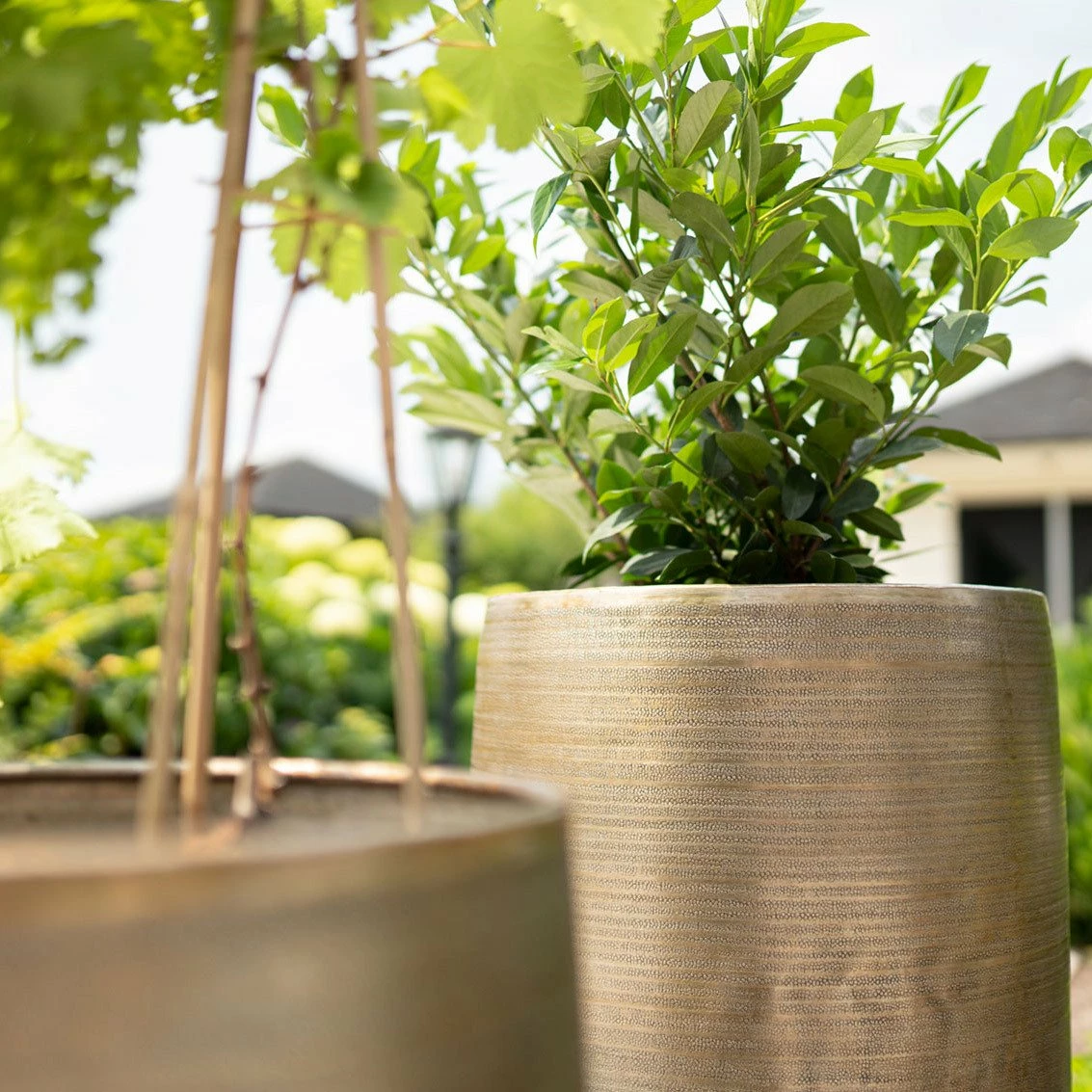 Pflanzgefäß 'Rowen', Gold, Ø 31 X H 55 Cm – Bild 8