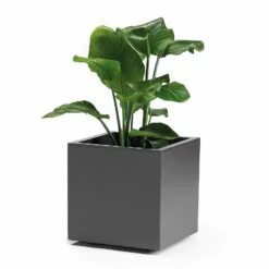 Pflanzkasten 'Kebe', Anthrazit, 35 Liter, 39,5 X 39,5 X 39,5 Cm