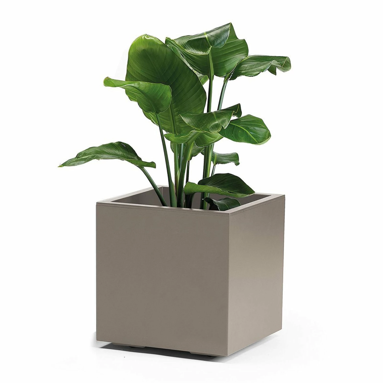 Pflanzkasten 'Kebe', Taupe, 35 Liter, 39,5 X 39,5 X 39,5 Cm