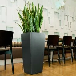 LECHUZA Cubico Premium 30, Anthrazit-metallic, All-in-One-Set, 30x30, H:56 Cm