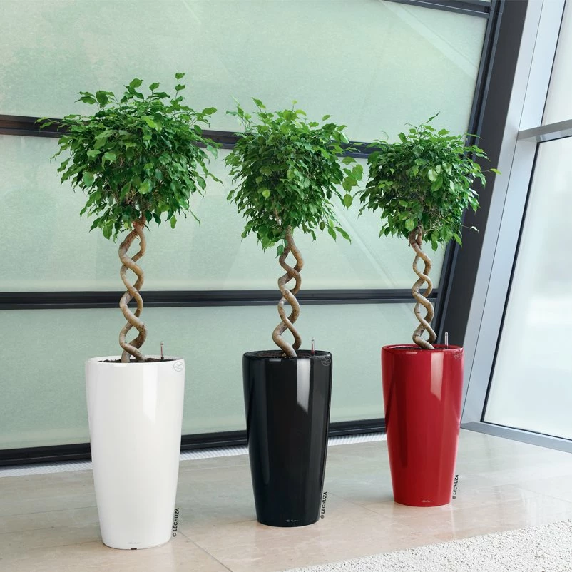 LECHUZA Rondo Premium, All-in-One-Set, Weiß Hochglanz, Ø 33 Cm, H:56 Cm – Bild 4