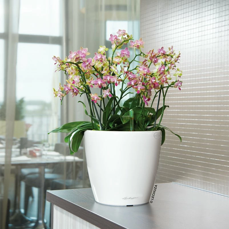 Lechuza Classico Premium 50 LS, Weiß Hochglanz, All-in-One-Set – Bild 4