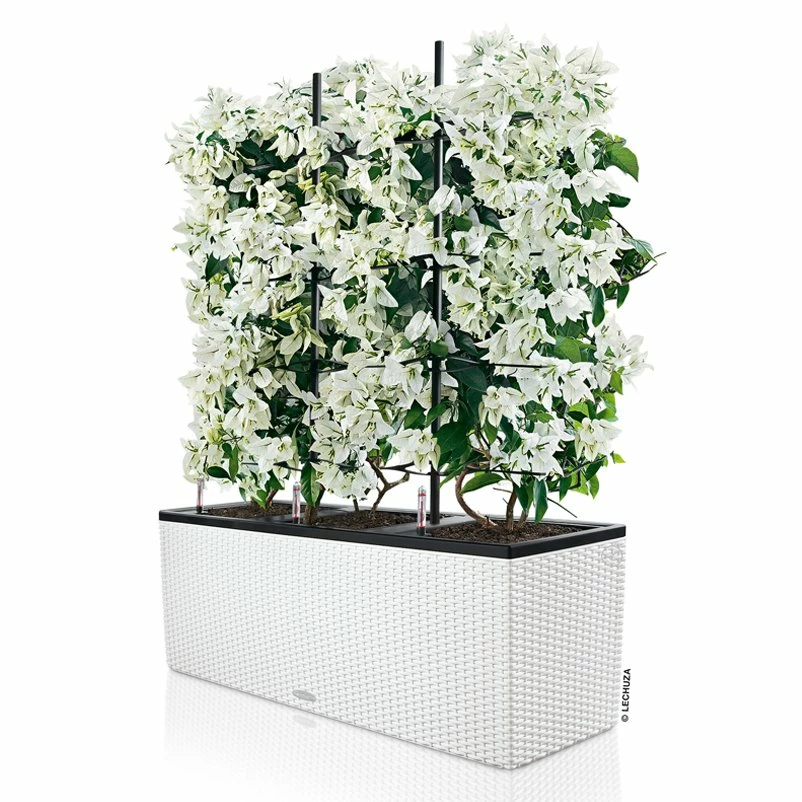 Lechuza Trio Cottage 30, Weiß, All-in-One-Set – Bild 3